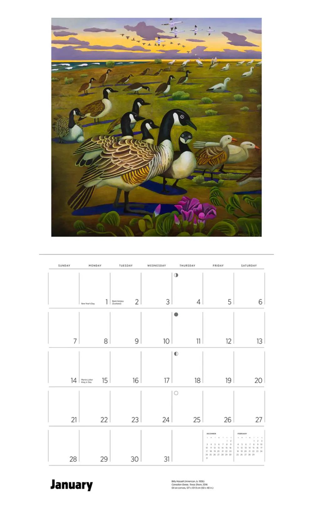 Pomegranate 2024 Wall Calendar Hassell In the Wild
